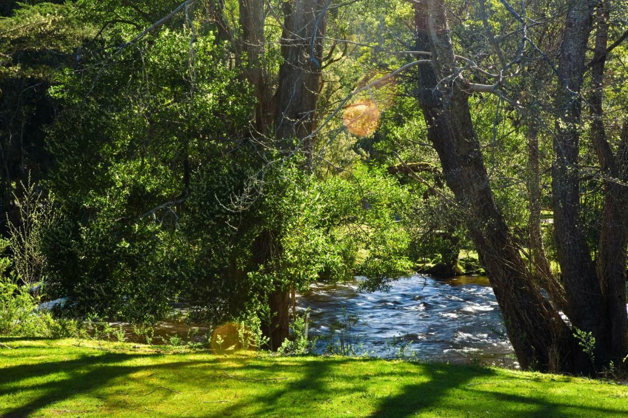 Russell Falls Holiday Cottages National Park Ngoại thất bức ảnh
