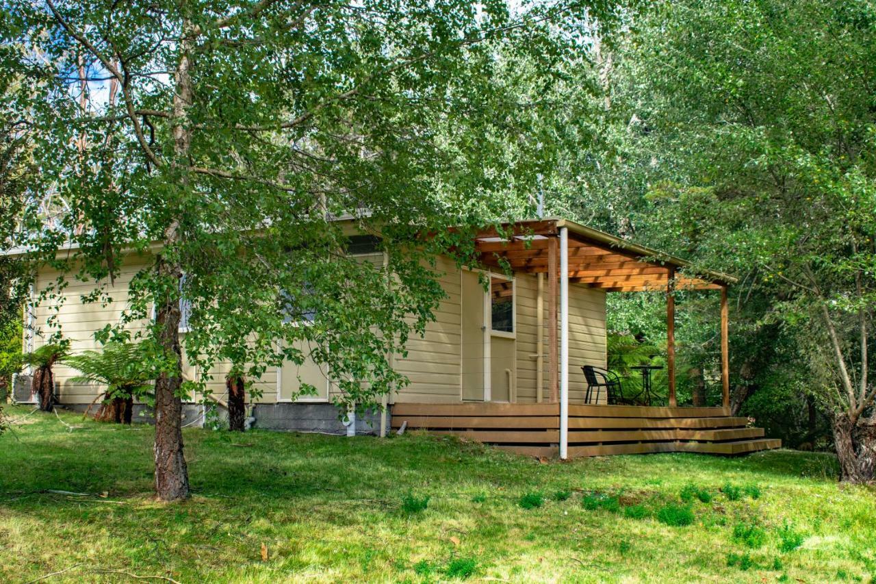 Russell Falls Holiday Cottages National Park Ngoại thất bức ảnh